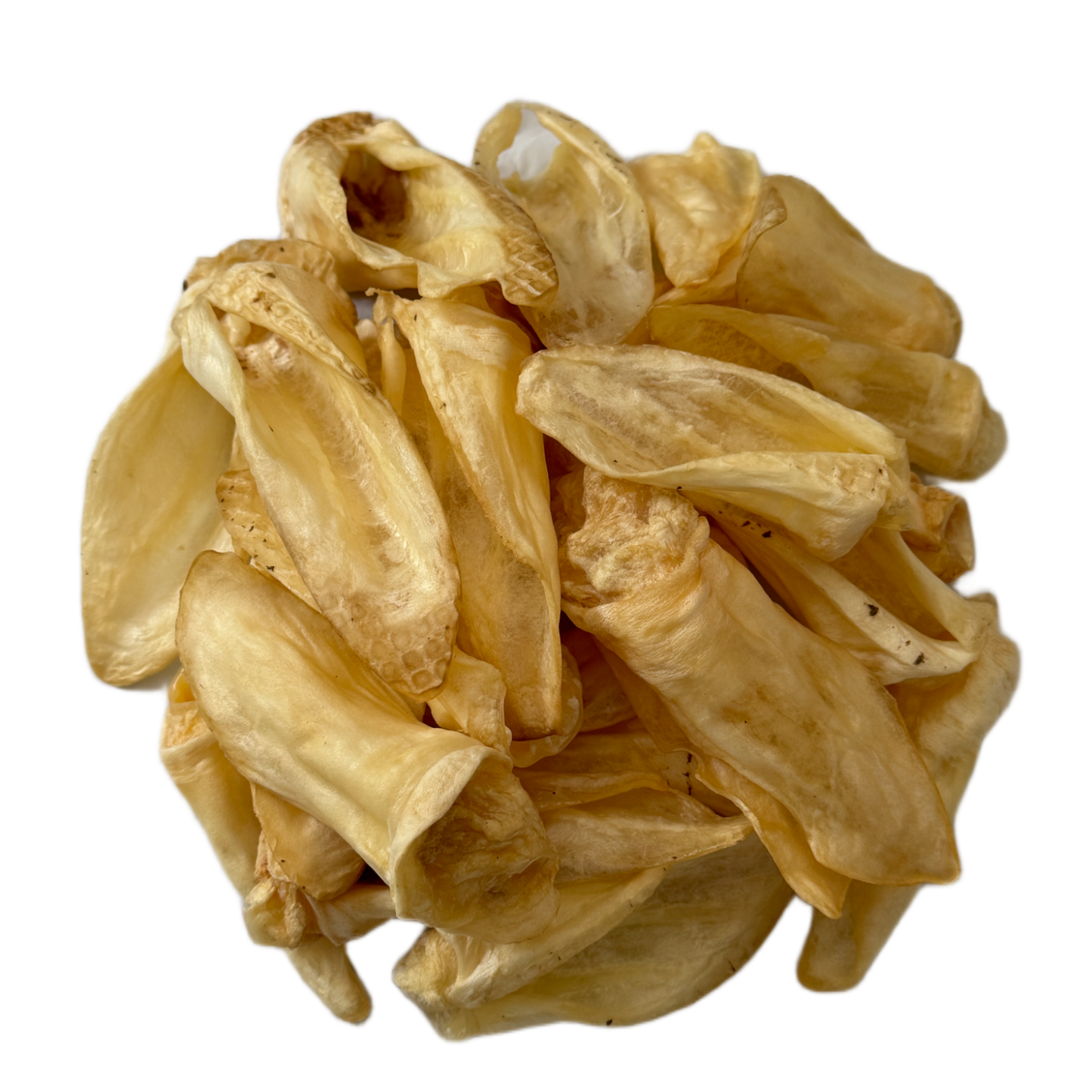 Lamb Ear / Sheep Ear